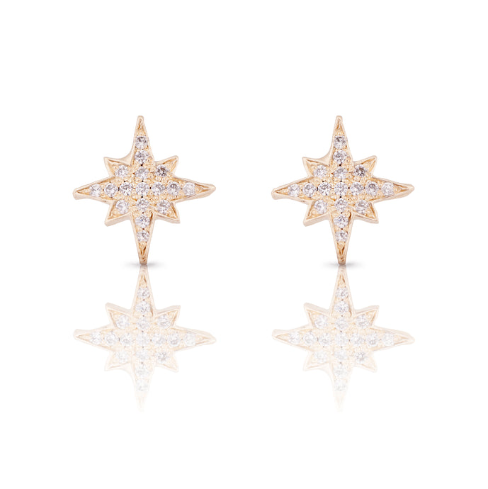 Estrea -  14k & diamonds earring