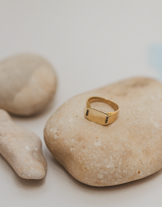 louise - 14k gold & black diamond ring